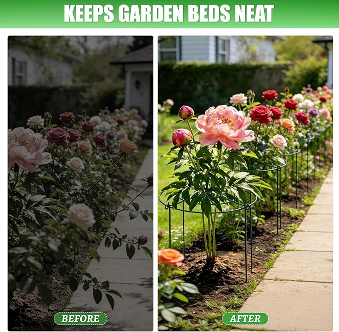 Peony Cages and Supports 8 Pack, 11.5 x 20 Inch Heavy Duty Plant Support Cage Set for Peonies, Roses & Tomatoes – Garden Stakes & Plant Cages for Outdoor Plants (8 Pack, 11.5 x 20 Inch)