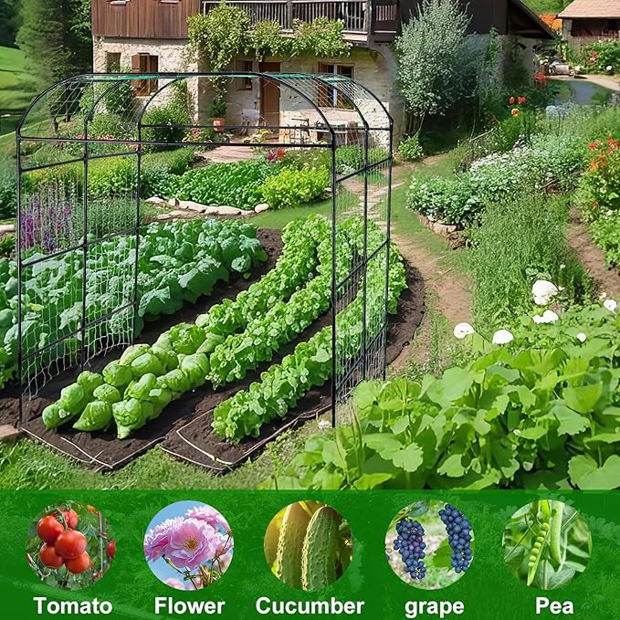 Garden Arch Trellis for Climbing Plants Outdoor, Grape Vine Tomato Bean U Frame Plant Vegetable Support, Cucumber Pergola for Backyard, Black