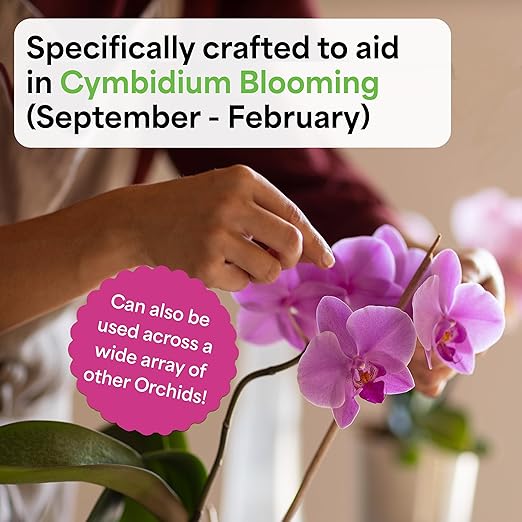 Grow More Premium Bloom Formula 6-30-30 Orchid Food Fertilizer - 10oz of Water Soluble Fertilizer for Orchids of Vibrant Growth During Dormant Season - Orchid Food for Blooming Vibrant Flowers