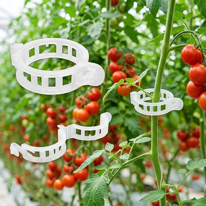 300Pcs Tomato Clips, Thickened Plant Support Clips for Climbing Plants, Trellis Clips for Tomato Grape Vine, Garden Clips for String Trellis Vegetables, Plant Fixing Clips Help Grow Upright