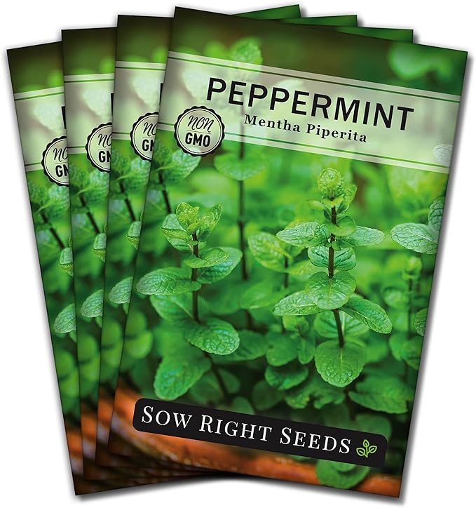 Sow Right Seeds - Peppermint Seeds for Planting - Non-GMO Heirloom Packet with Instructions for Easy Planting and Growing an Herbal Tea Garden - Indoors or Outdoor - Medicinal & Culinary (4)