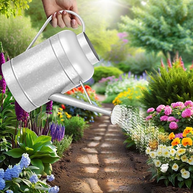 2.3 Gallon Bowl Decorative Countryside Style Water Can with Removable Spout, Galvanized Watering Can for Outdoor Indoor Plants, Metal Watering Can for Indoor Plants and Garden Flower