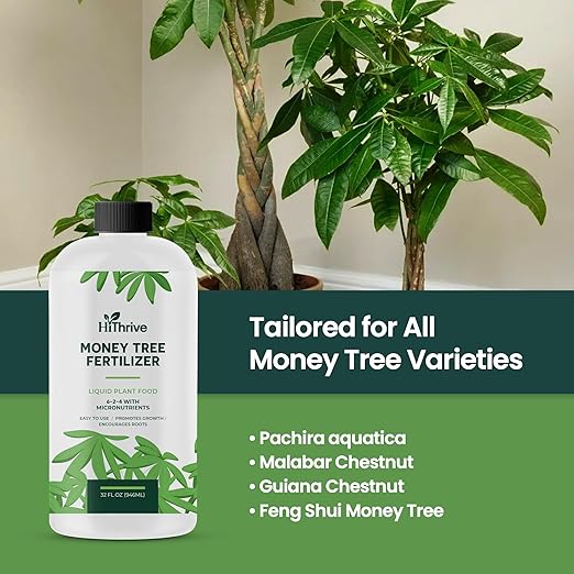 32oz Money Tree Plant Indoor Fertilizer - Makes 192 Gallons of Money Tree Fertilizer - Nutrient-Rich Plant Food with Macro & Micronutrients for Glossy Leaves, Strong Roots, and Lush, Tropical Growth