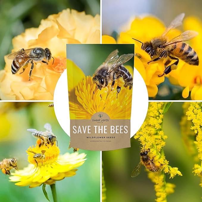 Bee Friendly Wildflower Seed Mix - Bulk 1/4 Pound Bag - Over 30,000 Open Pollinated Seeds - 100% Pure Live Seed - Save The Bees!