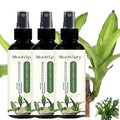 MoonSpry Brazilian lucky wood plant food, lucky bamboo liquid fertilizer,brazilian wood indoor houseplant fertilizer,bamboo indoor plant food,Fertilizantes de brasileña y árbol de la suerte,3pcs*100ml