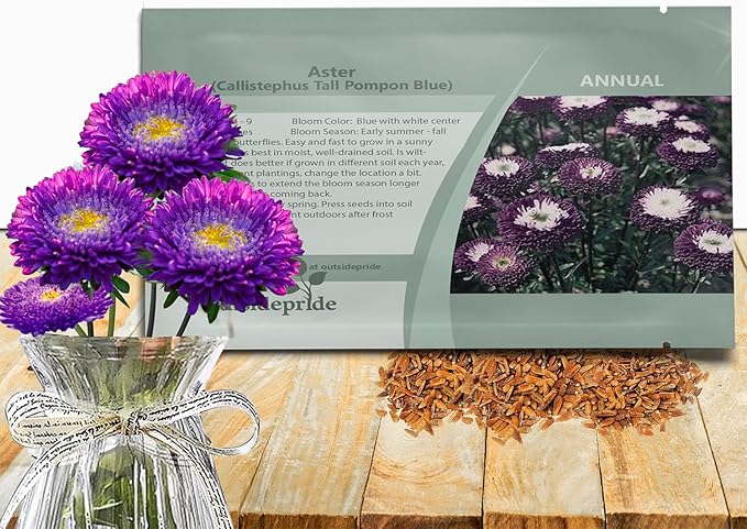 Outsidepride Tall Pompon Blue Aster Seeds - 1000 Pcs. Annual, Hardy & Pollinator Friendly Flower Seeds for Planting Vibrant Disc-Shaped Blue Blooms, Ideal for Meadows & Aesthetic Gardens