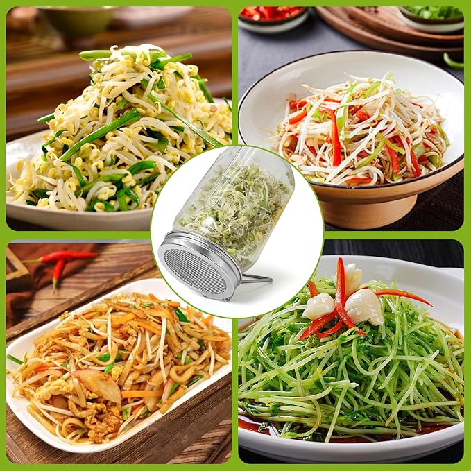 Sprouting Lids 2Pack Sprouting Lids for Wide Mouth Mason Jars with Stainless Steel Sprouter Lids & Stand for Broccoli, Alfalfa, Mung Bean Plant Germination Kits