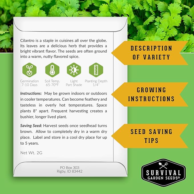 Cilantro Seeds for Planting | Heirloom Non-GMO Coriander Herb | Indoor & Outdoor Garden Growing | Fast Growing, Reliable Harvest – Survival Garden Seeds (1 Pack)