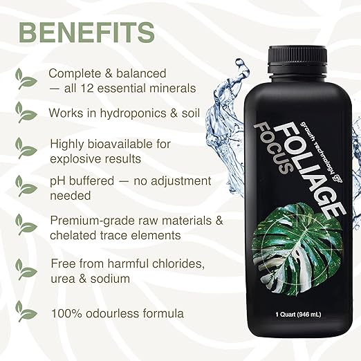 Growth Technology GT Foliage Focus - Liquid Indoor Plant Food for Houseplants, Tropical Plants, Aroids, Ferns and Palms – Concentrated Formula for Vibrant Leaves and Dense Foliage – 1 Quart (946 mL)