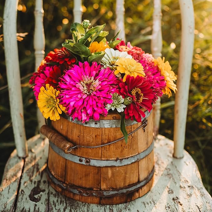 California Giants Zinnia Mix - 100 Seeds - Heirloom & Open-Pollinated Variety, Attracts Bees & Butterflies, Pollinator-Friendly Flower Seeds for Planting in The Home Garden, Thresh Seed Company