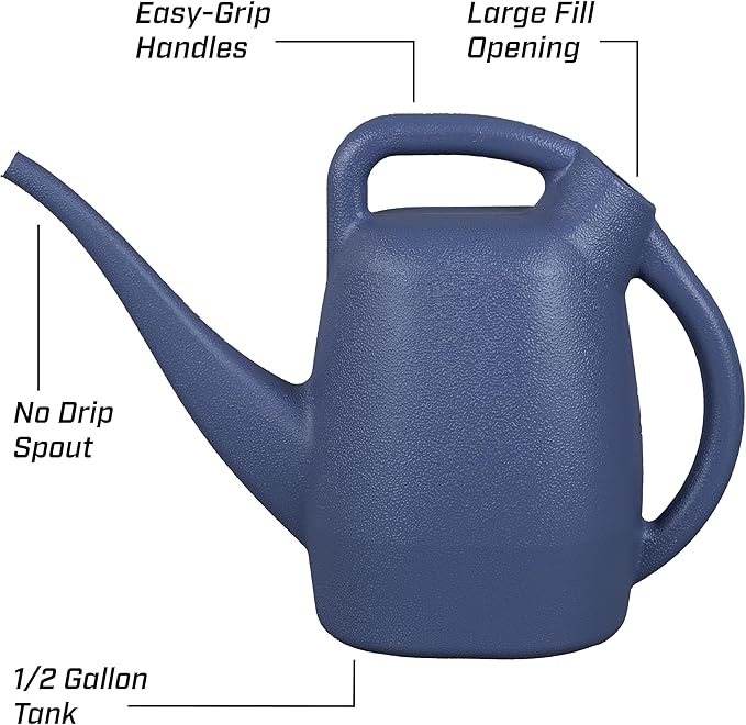 Chapin 48006 Watering Can, Garden, Indoor and Outdoor Plants, Recycled Plastic, Made in USA, 1/2 Gallon, Blue