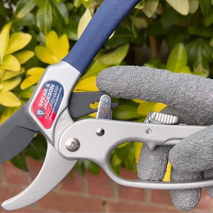 Spear & Jackson Razorsharp Ratchet Anvil Pruners, Heavy-Duty Garden Shears for Cutting Thick Branches with Ratchet Mechanism