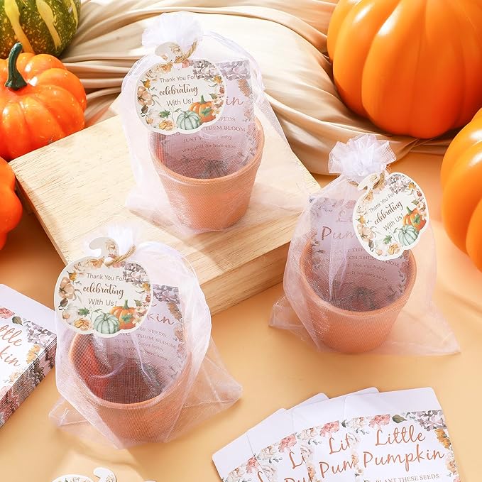Ctosree 50 Sets Little Pumpkin Baby Shower Party Favors Thanksgiving Baby Shower Seed Packet for Guests Little Pumpkin is on The Way Gifts Self Adhesive Seed Packets Thanks Tag Organza Gift Bag