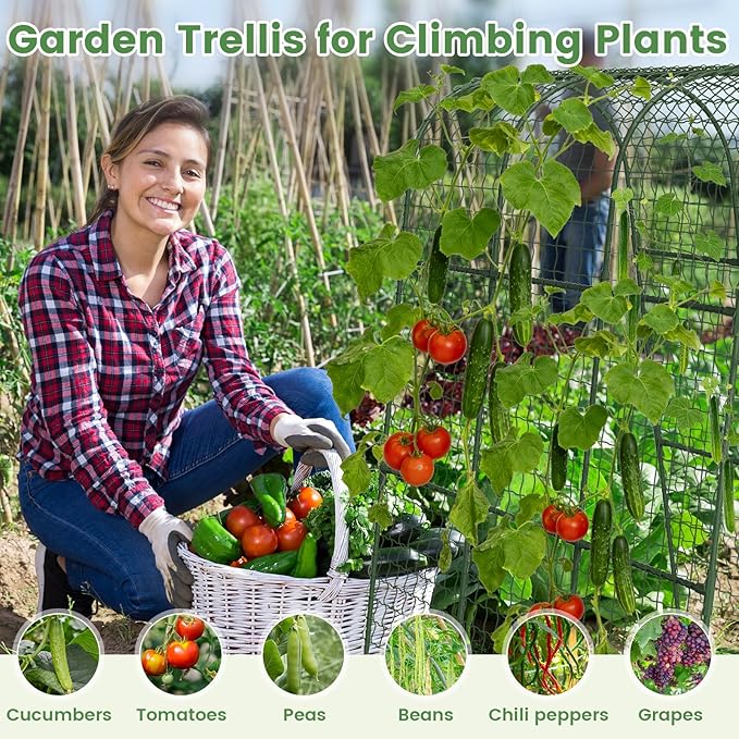 Cucumber Trellis, Metal Garden Arch Trellis for Raised Bed, 63 x 48inch U-Shape Garden Trellis for Climbing Plants Outdoor, Vegetables Fruit Plant Support with Netting, Gardening Supplies (Green)