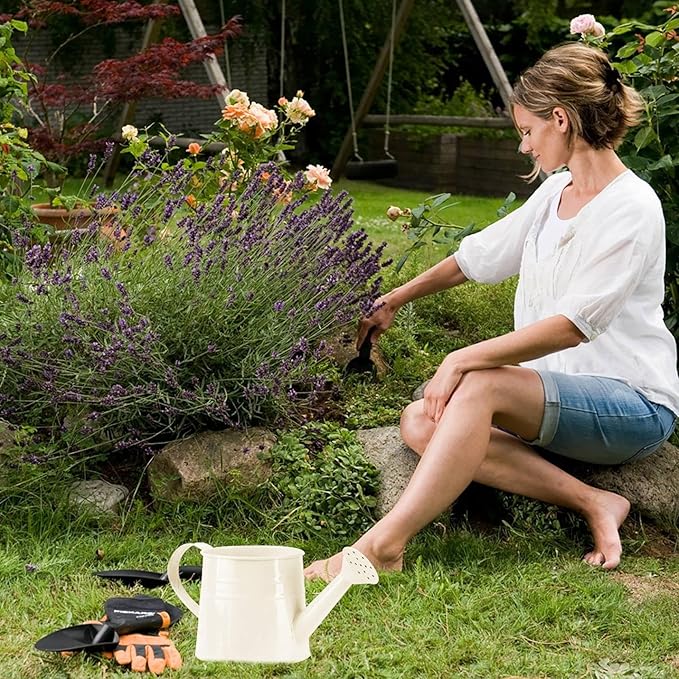 Tinplate Watering Kettle, 1L Metal Garden Watering Can, Vintage Sprinkling Can for Flowers, Indoor & Outdoor Plants, Lawn & Garden Irrigation Tool (White)