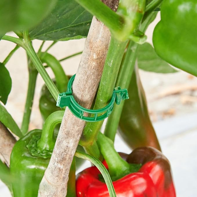 300Pcs Garden Vine Plant Support Clips,Plastic Fixing Clips for Securing and Training Climbing Plants,Tomatoes,Grapes,Vine Vegetables and Potted Plant (300, Green)