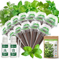 12-Pod Gourmet Herb Seed Kit Compatible with All Hydroponics- Basil, Parsley, Thyme, Mint, Cilantro, Dill, Oregano - Universal Seed Starter Pods Indoor Gardening (12-Pod)