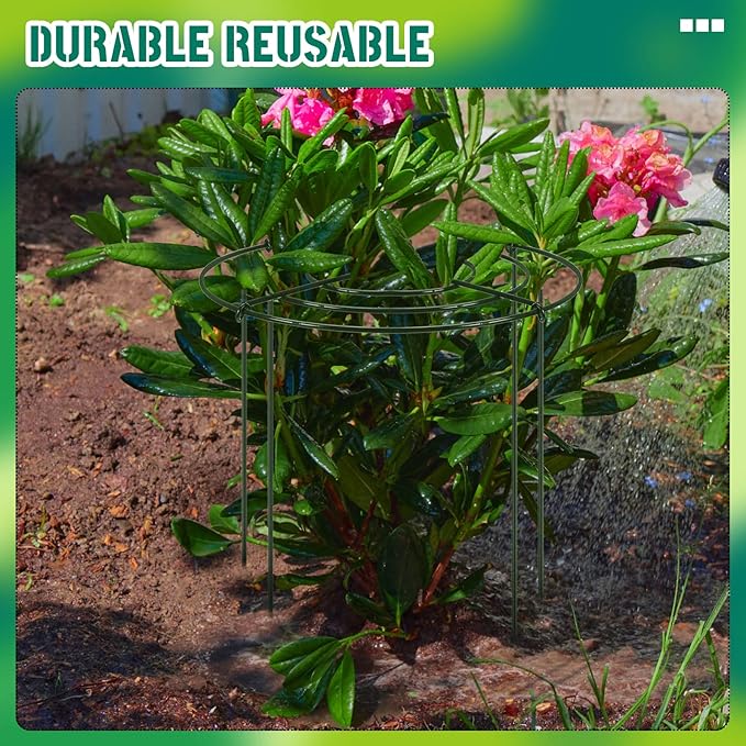 Geelin 15 Pack Peony Cages Bulk 12'' Dx 16'' H Peony Cages and Supports Heavy Duty Metal Plants Grow Through Support Rings Hoops for Outdoor Plants Flower Strawberry Tomato Strawberry(Green)