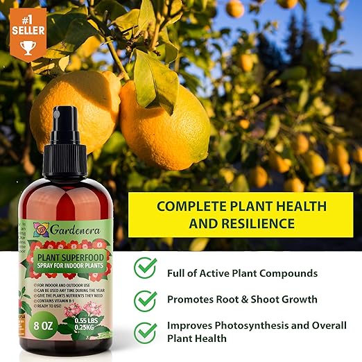 𝐁𝐄𝐒𝐓𝐒𝐄𝐋𝐋𝐄𝐑 Plant Superfood for Aloe Vera Plants with B1 Vitamin, Glucose and Essential Minerals - Organic Plant Food Fertilizer for Indoor & Outdoor Aloe Vera Plant Care - 8oz