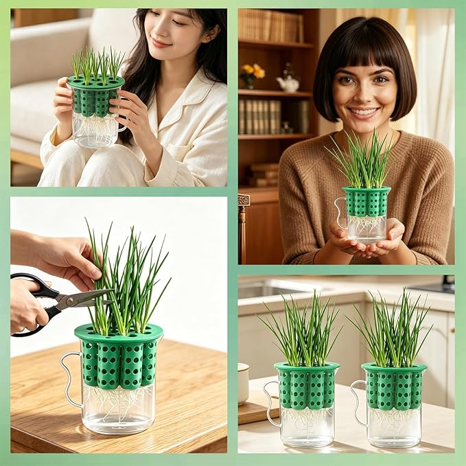 2Sets Green Onion Planter Scallion Grower Seed Sprouting Kit, 2 Green Onion Regrower Container and 2 Plastic Cups with Handle for Windowsill Garden Indoor Hydroponics Propagation Enthusiasts