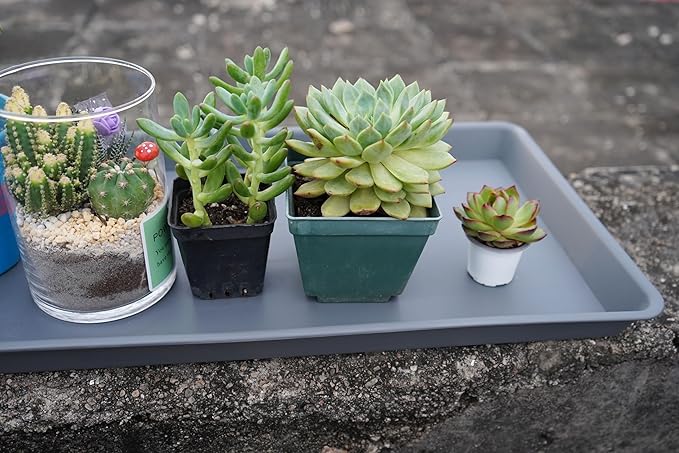 VUWEZ 2 Pack Plant Saucer Tray Rectangular, Plant Growing Nursery Trays, Heavy Sturdy Seed Starting Trays, Plant Starter Trays for Indoors No Holes, Seed Starter Growing Tray (17.5"x10.6", Gray)