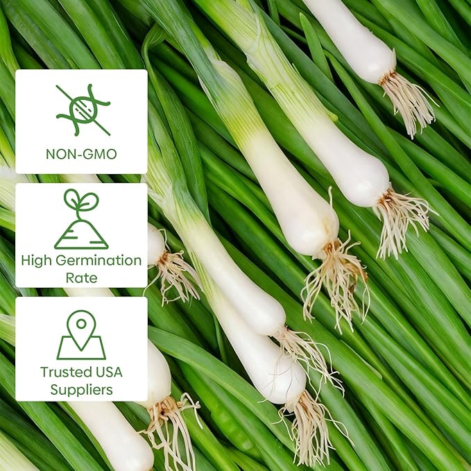 Heshiko Bunching Green Onion Seeds - Non-GMO Heirloom Seeds for Planting Indoor Containers or Outdoor Garden, Instructions Included