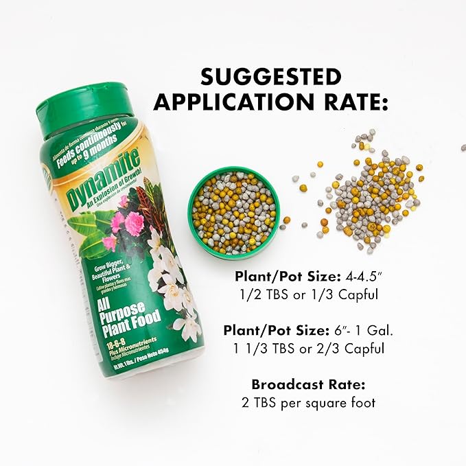 Dynamite 605951 All Purpose Indoor and Outdoor Plant Food, 1-Pound
