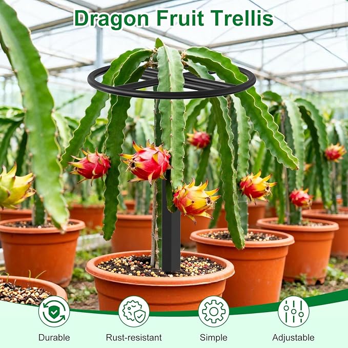 Adjustable Dragon Fruit Trellis, Heavy Duty Metal Plant Support Frame for Climbing Plants, Cactus, Roses & Vines, Rust Proof Durable Vertical Garden Support for Indoor & Outdoor Potted Plants