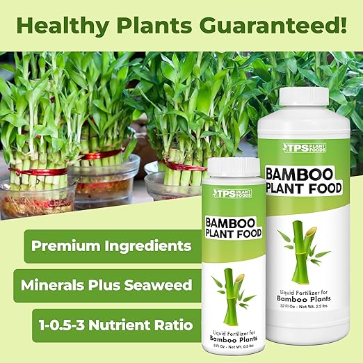Bamboo Plant Food, Complete Liquid Bamboo Fertilizer, 32 oz (1 Quart)