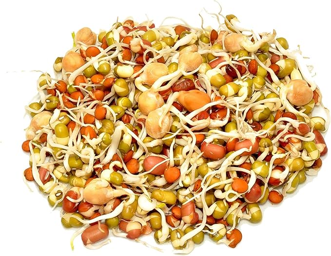 Handy Pantry Organic Salad Sprouting & Microgreens Mix – 16 Oz – Non-GMO, High-Germination Blend of Alfalfa, Broccoli, Lentil, Mung Bean & Radish Seed – Fresh, Crisp Sprouts & Nutritious Micro Green