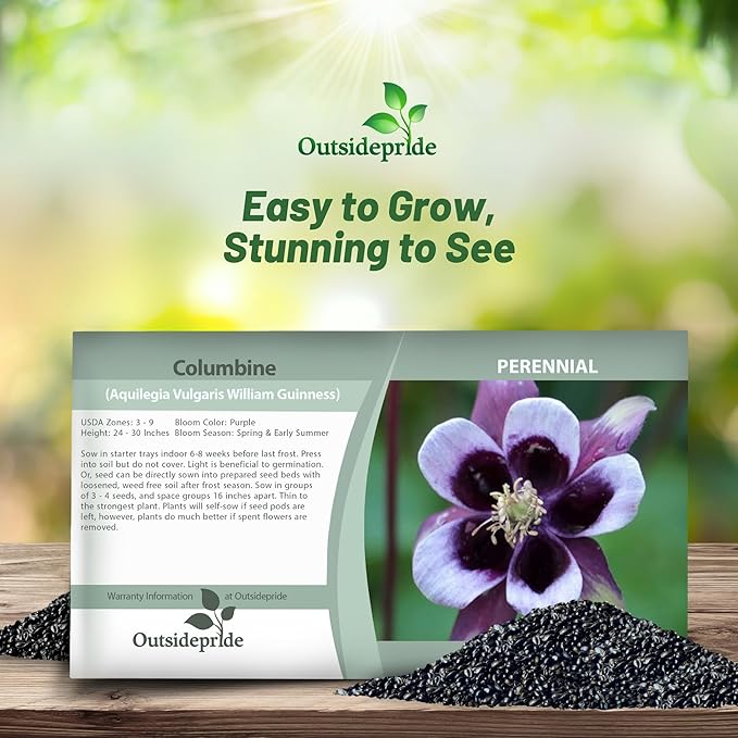 Outsidepride William Guinness Columbine Seeds - 2000 Pcs Perennial, Easy to Grow Flower Seeds for Planting, Suitable for Pollinator-Friendly Garden, Cut Floral Arrangements, Ground Covers, or Borders