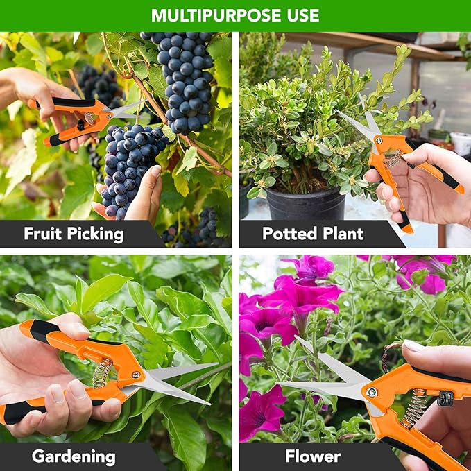 iPower GLPRNR6OR 6.5 Inch Gardening Pruning Shears Hand Scissors with Straight Stainless Steel Blades for Trimming Herbs, Plants, Hydroponic, 1-Pack, Orange