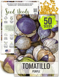 Seed Needs Tomatillo Seeds for Planting Purple Tomatillos - Non-GMO Heirloom & Untreated Annual Veggie Seed to Plant a Home Grown Vegetable Garden Outdoors (1 Pack)