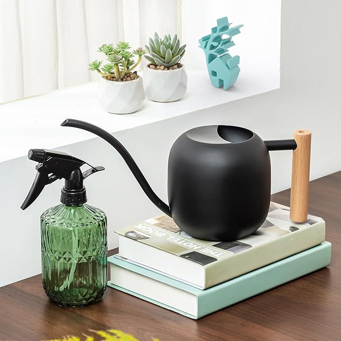Baffect Indoor House Plants Watering Can Set, Include 41oz Metal Long Spout Watering Can & 13.5oz Dark Glass Misting Spray Bottle, Water Spray Bottle with Adjustable Nozzle Ideal for Bonsai, Orchid