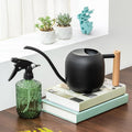 Baffect Indoor House Plants Watering Can Set, Include 41oz Metal Long Spout Watering Can & 13.5oz Dark Glass Misting Spray Bottle, Water Spray Bottle with Adjustable Nozzle Ideal for Bonsai, Orchid