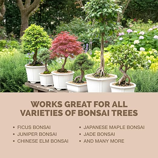 Bonsai Fertilizer, Liquid Plant Food for Healthy Growth & Strong Roots in All Bonsai Trees, by TPS Plant Foods, 8 oz (250 mL)