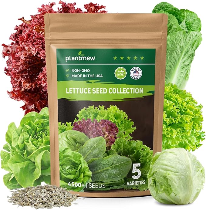 Heirloom Lettuce Seeds - 5 Varieties, Non-GMO Seeds for Planting - Black Seeded Simpson, Iceberg, Buttercrunch, Parris Island Cos & Lolla Rossa Lettuce - Home Garden & Hydroponic Seeds