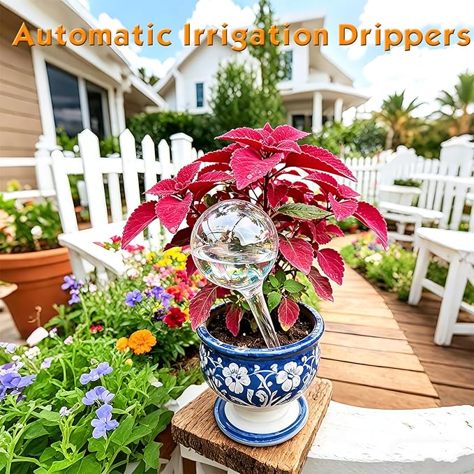 Self Watering Globes for Plants – 12 Pack Large Automatic Watering Bulbs, Vacation Plant Watering Device for Indoor & Outdoor Potted Plants, Slow Release Plant Waterer for Water Conservation