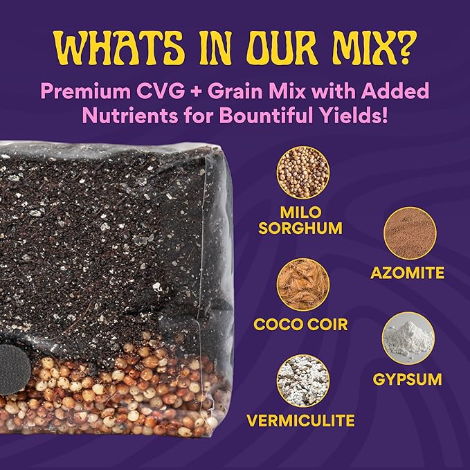 2 LB 2-Pack All-in-One Grow Bag: Up to 32oz of Mushrooms! Nutrient-Enhanced, Injection Port, Just Add Your Own Spores & Grow Like Magic (2 x 2 LB Bags)