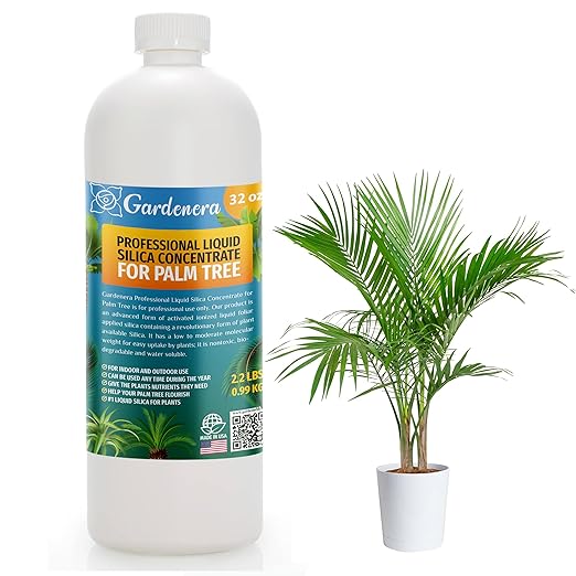 𝐏𝐑𝐎𝐅𝐄𝐒𝐒𝐈𝐎𝐍𝐀𝐋 Liquid Silica Plant Supplement - 32oz - Palm Tree Plants Liquid Silica Boost Fertilizer - Stronger Stems & Healthy Leaves for Indoor & Outdoor Palm Trees (Makes 180 Gallons)