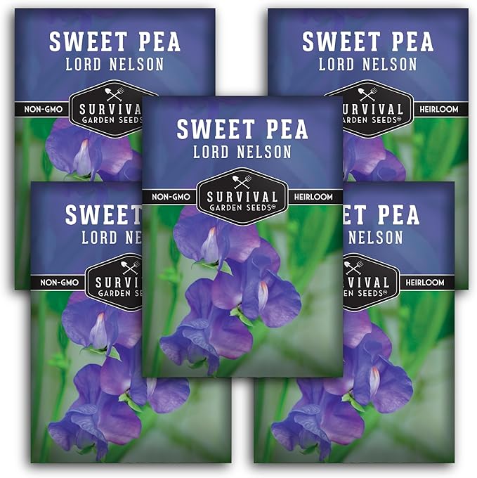 Blue Sweet Pea Seeds for Planting – Lord Nelson Heirloom Variety with Fragrant, Deep Blue Flowers on Tall Climbing Vines for Outdoor Gardens – Survival Garden Seeds (5 Packs)