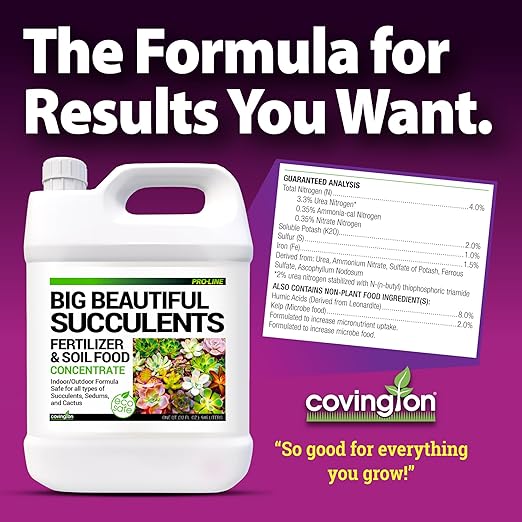 Covington Succulent Fertilizer Liquid (1 Gallon) – Cactus & Succulent Plant Food for Indoor and Outdoor Use – Slow Release Liquid Fertilizer for Houseplants – Made in USA