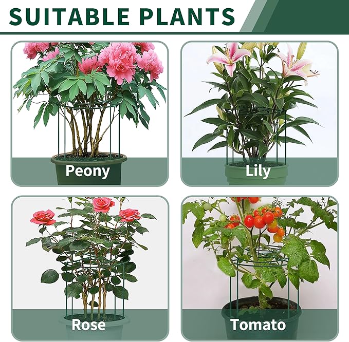 SYITCUN 4pack Peony Cages and Supports, 14 x 32 Inch Four Legs Peony Cage, Heavy-Duty Peonies Support Cages, Peony Ring for Roses, Hydrangeas, Sage, Peonies, Cucumbers, Tomato