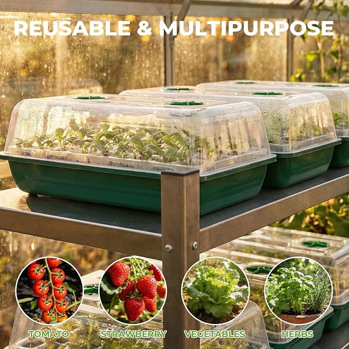 HIRALIY 80 Cell Seed Starter Tray Kits, Reusable Plant Germination Trays, Easy Transplanting, with Humidity Domes and Bases, for Starting Vegetable, Flower & Herb Seeds, Indoor Gardening, Greenhouse