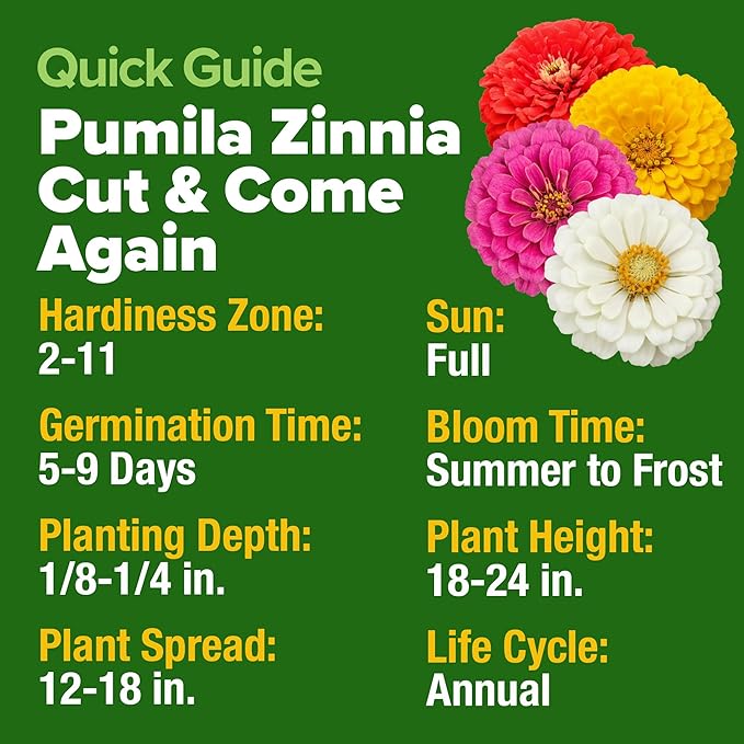 HOME GROWN Dwarf Zinnia Seeds Mix - 600 Pumila Zinnia Seeds for 2026 (0.6g) | Zinnia Flower Seeds for Planting Outdoors | Colorful Cut Annual Flowers for Summer Gardens & Containers (Zinnia elegans)