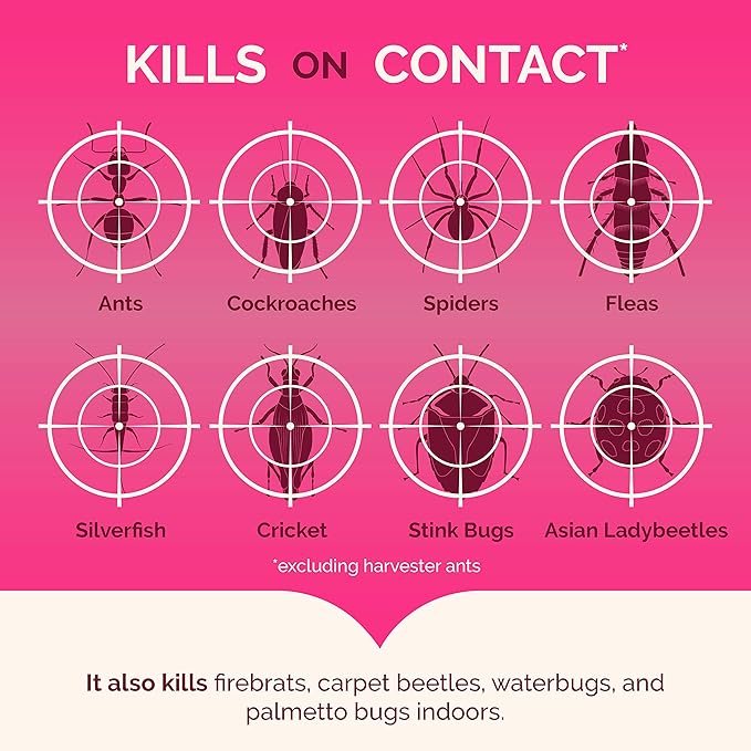 Hot Shot Ant, Roach & Spider Killer, Kills Roaches and Listed Ants On Contact, Indoor & Outdoor Use, (Unscented) 2 Pack, 17.5 Ounce