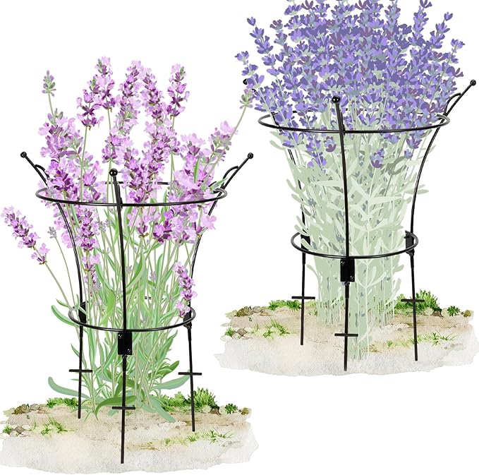 2 Pack Large Peony Cages and Supports,23.2" H X 13.4" D Metal Peony Support Rings,Tall Plant Support Garden Stakes for Outdoor Plants and Other Flopping Flowers