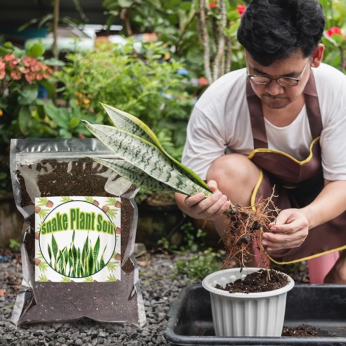 Doter Premium Snake Plant Soil Mix 4qt, Indoor Plants Potting Mix for All Potted Snake Plants, Promote Healthy Growth and Easy Care