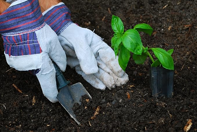 ATERET AG60 Work Gloves with Safety Cuff & Wing Thumb I 12 Pairs Glove Pack I Ideal Use for Lanscaping & Gardening