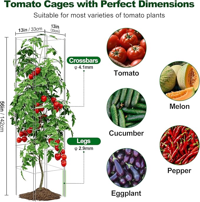 SPECILITE Square Foldable Tomato Cages 3 Pack, 13" W x 56" H Heavy Duty Galvanized Steel Plant Support Trellis for Garden, Tomatoes, Plant, Tool-Free & Rust Resistant for Outdoor Use (Include Gloves)